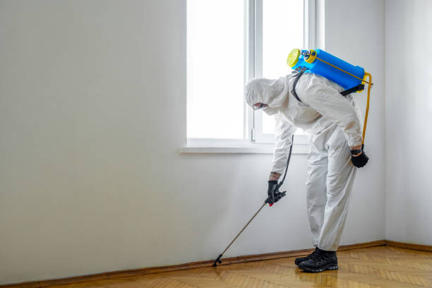 Best Best Pest Control Companies  in Fort Dix, NJ