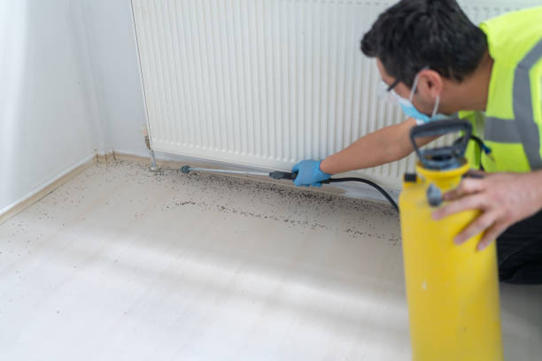 Best Pest Removal Services  in Fort Dix, NJ