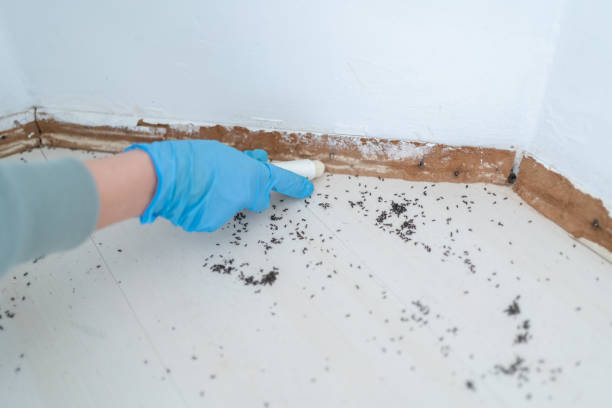 Wildlife Control Services in Fort Dix, NJ